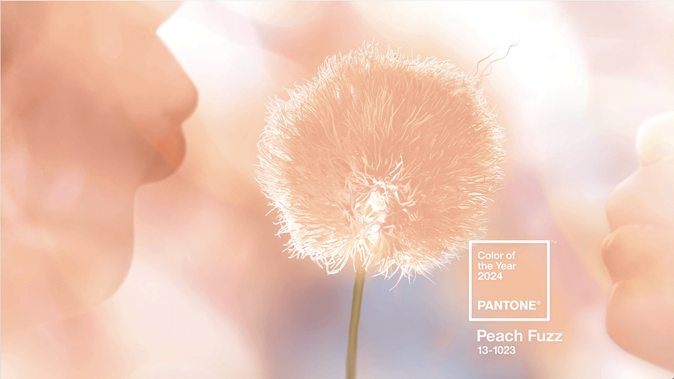 2024年pantone公布的年度流行色柔和桃